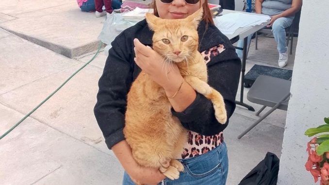 Municipio de Aguascalientes e ISSEA llevarán Jornada de Esterilización canina y felina a Pilar Blanco