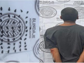 Policías del Mando Coordinado detuvieron en el municipio de Real de Asientos a sujeto en poder de envoltorios con sustancia granulada al parecer cristal