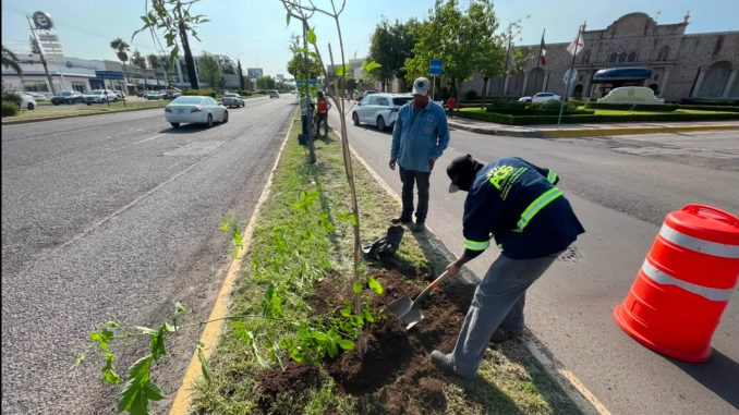Celebra Municipio de Aguascalientes Día Mundial del Árbol con reforestación