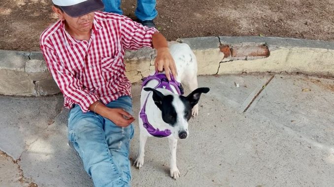 Municipio e ISSEA realizarán nueva Jornada de esterilización canina y felina en Cañada Honda