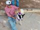 Municipio e ISSEA realizarán nueva Jornada de esterilización canina y felina en Cañada Honda