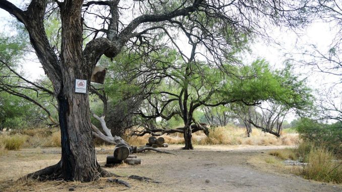 Con hechos, el primer paso para un Proyecto Verde que deje huella