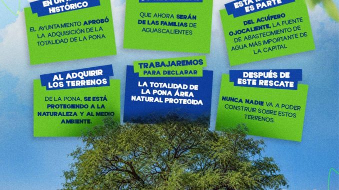 🌳 Hoy hacemos historia por Aguascalientes