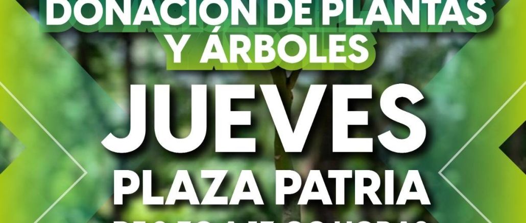 Arranca "Árboles Fuertes, Huellas Gigantes" con donación de 4 mil plantas y árboles