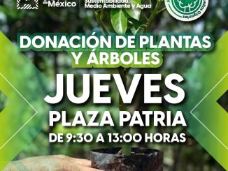 Arranca "Árboles Fuertes, Huellas Gigantes" con donación de 4 mil plantas y árboles