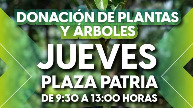 Arranca "Árboles Fuertes, Huellas Gigantes" con donación de 4 mil plantas y árboles