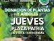 Arranca "Árboles Fuertes, Huellas Gigantes" con donación de 4 mil plantas y árboles