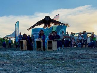 Aguascalientes fortalece el cuidado ambiental con la participación de la ciudadanía