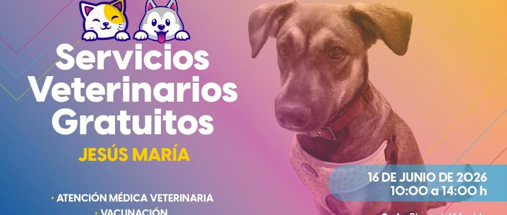 🐾🐶🐱 ¡Atención, Jesús María!
