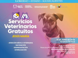 🐾🐶🐱 ¡Atención, Jesús María!