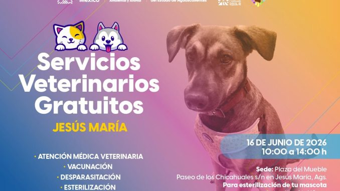 🐾🐶🐱 ¡Atención, Jesús María!
