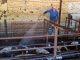 Corrales de tratamiento apoyan la atención oportuna del gusano barrenador