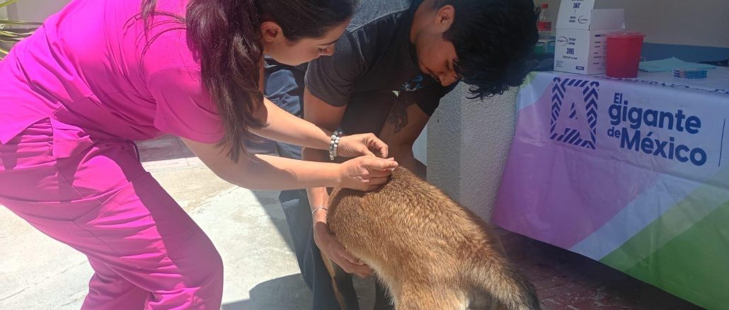 🐾💚 ¡San José de Gracia respondió con gran participación!
