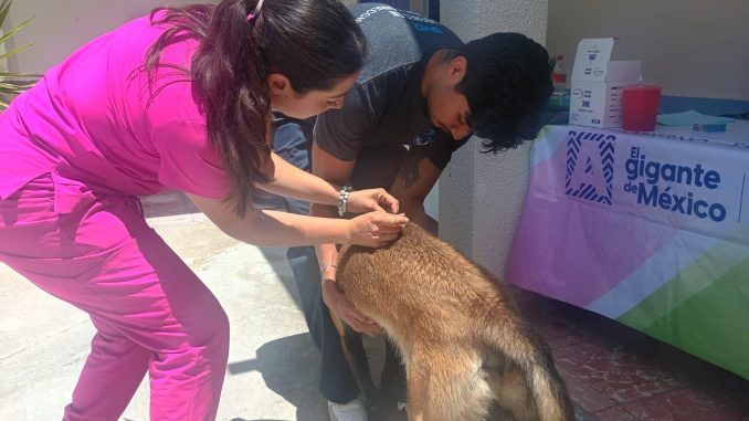 🐾💚 ¡San José de Gracia respondió con gran participación!