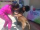 🐾💚 ¡San José de Gracia respondió con gran participación!