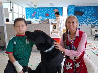 Obama, el perrito que lleva alegría a pequeños en tratamiento, Hoy visitó el Hospital Hidalgo
