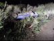 Policías Estatales de Carreteras atienden reporte de accidente tipo salida de camino y volcadura en Jesús María