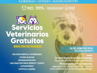 🐶🐱 ¡Este 26 de junio, tu mascota tiene una cita! 💚