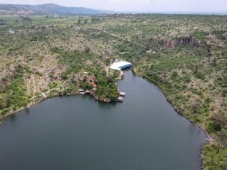 Lluvias generan optimismo entre las y los productores del campo en Aguascalientes