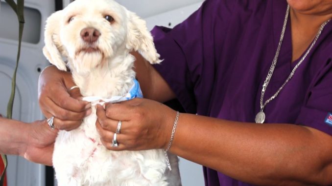 🐾 Rincón de Romos, gracias el cariño y la respuesta de las familias nos llenaron el corazón