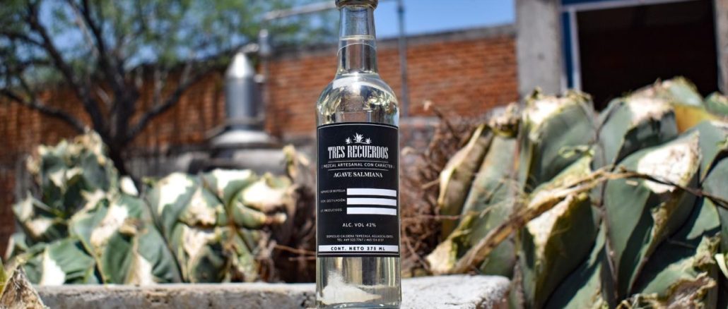 Diseñan estrategias que impulsen la exportación y posicionamiento del Mezcal de Aguascalientes