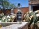 Diseñan estrategias que impulsen la exportación y posicionamiento del Mezcal de Aguascalientes