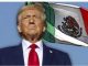 Navarrete ve posible que EE.UU. actúe directamente si México no atiende solicitudes de entrega