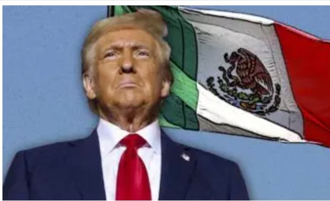 Navarrete ve posible que EE.UU. actúe directamente si México no atiende solicitudes de entrega