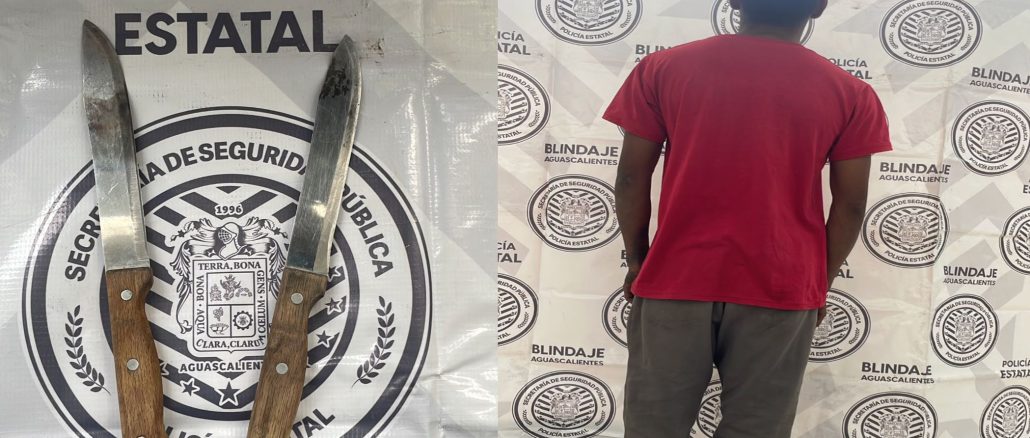 En poder de dos armas prohibidas fue detenido un sujeto por el Mando Coordinado en Pabellón de Arteaga