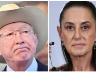 Salazar a Sheinbaum: 'No era nuestro avión, no era nuestro piloto y no era nuestra operación'