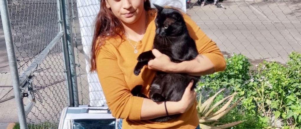Anuncian Municipio e ISSEA Jornadas de Esterilización canina y felina en Pirules y la Purísima