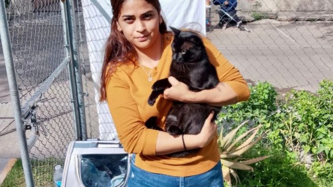 Anuncian Municipio e ISSEA Jornadas de Esterilización canina y felina en Pirules y la Purísima