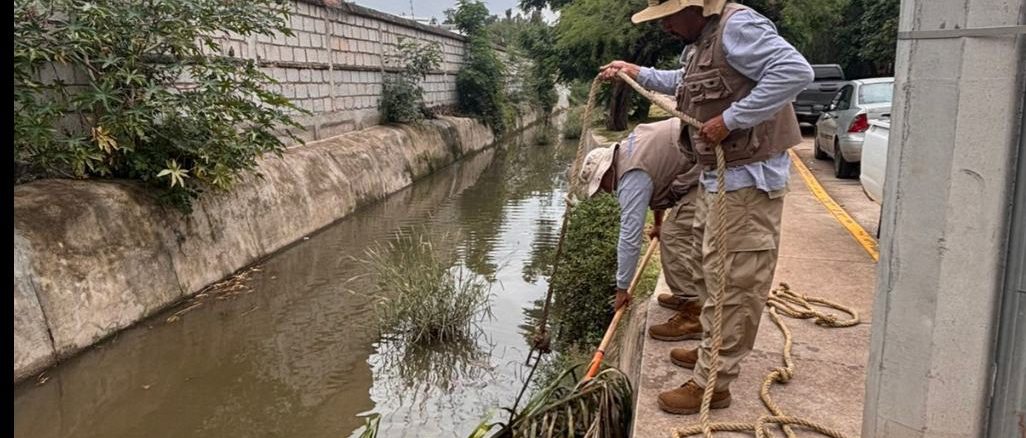 SEMADESU mantiene Operativo de limpieza en el Arroyo San Nicolás