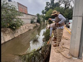 SEMADESU mantiene Operativo de limpieza en el Arroyo San Nicolás
