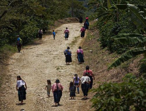 Pueblos indígenas de Chiapas denuncian persecución por defender sus territorios