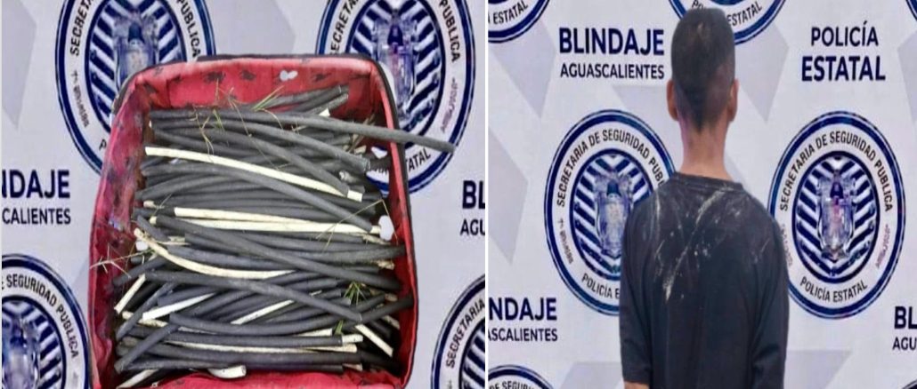 Policías del Mando Coordinado detienen a presunto responsable de robo de cableado de alumbrado público en el Municipio de Jesús María