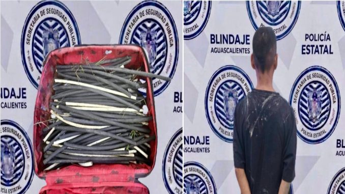 Policías del Mando Coordinado detienen a presunto responsable de robo de cableado de alumbrado público en el Municipio de Jesús María