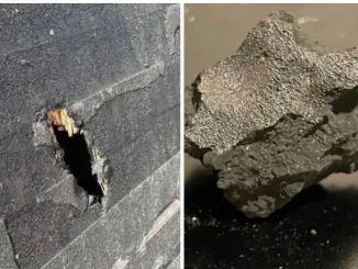Meteorito que cayó en casa de EE.UU. revela datos sobre componentes fuera de la Tierra para la vida