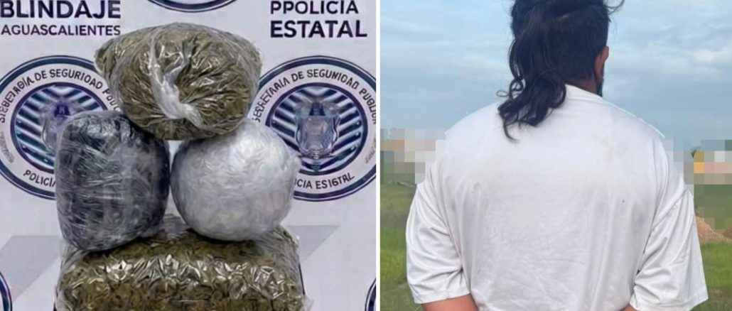 POLICIAS DEL MANDO COORDINADO DETUVIERON EN EL MUNICIPIO DE JESÚS MARÍA A UN SUJETO EN PODER DE APROXIMADAMENTE 4 KILOGRAMOS DE HIERBA VERDE AL PARECER MARIHUANA. Con aproximadamente 4 kilogramos de hierba verde y seca con las características propias de la marihuana fue detenido un sujeto por uniformados del Mando Coordinado en territorio del municipio de Jesús María, luego de su detencion fue puesto a disposición de la autoridad federal. Fueron oficiales del Mando Coordinado que realizaban su recorrido de vigilancia sobre la Avenida Eugenio Garza Sada cuando detectaron en circulación un vehículo marca Chevrolet, en color negro, cuyo conductor al percatarse de la presencia de los policías, actuó de manera evasiva, motivo por el cual, le indicaron detuviera su marcha para proceder a realizar una inspección preventiva. El sujeto dijo responder al nombre de Dayan N de 25 años de edad, durante la revisión que se le practicó, le detectaron entre sus pertenencias, varias bolsas de plástico que contenían en su interior hierba verde y seca con las características propias de la marihuana que dieron un peso aproximado de 4 kilogramos. Finalmente, Dayan N fue trasladado junto con las bolsas que contenían la hierba verde ante el Agente del Ministerio Público del fuero federal, en la Fiscalía General de la República, Delegación Aguascalientes, en donde se determinaría su situación jurídica conforme a derecho.