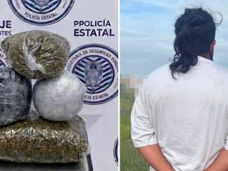 POLICIAS DEL MANDO COORDINADO DETUVIERON EN EL MUNICIPIO DE JESÚS MARÍA A UN SUJETO EN PODER DE APROXIMADAMENTE 4 KILOGRAMOS DE HIERBA VERDE AL PARECER MARIHUANA. Con aproximadamente 4 kilogramos de hierba verde y seca con las características propias de la marihuana fue detenido un sujeto por uniformados del Mando Coordinado en territorio del municipio de Jesús María, luego de su detencion fue puesto a disposición de la autoridad federal. Fueron oficiales del Mando Coordinado que realizaban su recorrido de vigilancia sobre la Avenida Eugenio Garza Sada cuando detectaron en circulación un vehículo marca Chevrolet, en color negro, cuyo conductor al percatarse de la presencia de los policías, actuó de manera evasiva, motivo por el cual, le indicaron detuviera su marcha para proceder a realizar una inspección preventiva. El sujeto dijo responder al nombre de Dayan N de 25 años de edad, durante la revisión que se le practicó, le detectaron entre sus pertenencias, varias bolsas de plástico que contenían en su interior hierba verde y seca con las características propias de la marihuana que dieron un peso aproximado de 4 kilogramos. Finalmente, Dayan N fue trasladado junto con las bolsas que contenían la hierba verde ante el Agente del Ministerio Público del fuero federal, en la Fiscalía General de la República, Delegación Aguascalientes, en donde se determinaría su situación jurídica conforme a derecho.