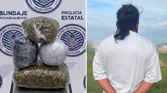 POLICIAS DEL MANDO COORDINADO DETUVIERON EN EL MUNICIPIO DE JESÚS MARÍA A UN SUJETO EN PODER DE APROXIMADAMENTE 4 KILOGRAMOS DE HIERBA VERDE AL PARECER MARIHUANA. Con aproximadamente 4 kilogramos de hierba verde y seca con las características propias de la marihuana fue detenido un sujeto por uniformados del Mando Coordinado en territorio del municipio de Jesús María, luego de su detencion fue puesto a disposición de la autoridad federal. Fueron oficiales del Mando Coordinado que realizaban su recorrido de vigilancia sobre la Avenida Eugenio Garza Sada cuando detectaron en circulación un vehículo marca Chevrolet, en color negro, cuyo conductor al percatarse de la presencia de los policías, actuó de manera evasiva, motivo por el cual, le indicaron detuviera su marcha para proceder a realizar una inspección preventiva. El sujeto dijo responder al nombre de Dayan N de 25 años de edad, durante la revisión que se le practicó, le detectaron entre sus pertenencias, varias bolsas de plástico que contenían en su interior hierba verde y seca con las características propias de la marihuana que dieron un peso aproximado de 4 kilogramos. Finalmente, Dayan N fue trasladado junto con las bolsas que contenían la hierba verde ante el Agente del Ministerio Público del fuero federal, en la Fiscalía General de la República, Delegación Aguascalientes, en donde se determinaría su situación jurídica conforme a derecho.
