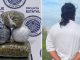 POLICIAS DEL MANDO COORDINADO DETUVIERON EN EL MUNICIPIO DE JESÚS MARÍA A UN SUJETO EN PODER DE APROXIMADAMENTE 4 KILOGRAMOS DE HIERBA VERDE AL PARECER MARIHUANA. Con aproximadamente 4 kilogramos de hierba verde y seca con las características propias de la marihuana fue detenido un sujeto por uniformados del Mando Coordinado en territorio del municipio de Jesús María, luego de su detencion fue puesto a disposición de la autoridad federal. Fueron oficiales del Mando Coordinado que realizaban su recorrido de vigilancia sobre la Avenida Eugenio Garza Sada cuando detectaron en circulación un vehículo marca Chevrolet, en color negro, cuyo conductor al percatarse de la presencia de los policías, actuó de manera evasiva, motivo por el cual, le indicaron detuviera su marcha para proceder a realizar una inspección preventiva. El sujeto dijo responder al nombre de Dayan N de 25 años de edad, durante la revisión que se le practicó, le detectaron entre sus pertenencias, varias bolsas de plástico que contenían en su interior hierba verde y seca con las características propias de la marihuana que dieron un peso aproximado de 4 kilogramos. Finalmente, Dayan N fue trasladado junto con las bolsas que contenían la hierba verde ante el Agente del Ministerio Público del fuero federal, en la Fiscalía General de la República, Delegación Aguascalientes, en donde se determinaría su situación jurídica conforme a derecho.