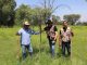 Municipio lleva a cabo acciones permanentes de conservación en el área natural protegida La Pona