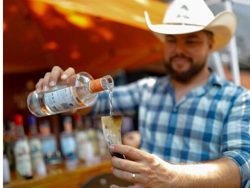 Caída de precios de agave deja campos abandonados y plagas, dicen tequileros