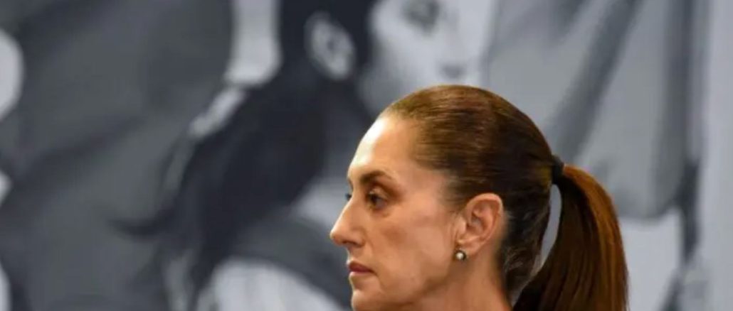 Experto exige a Presidencia respetar el derecho de réplica: 'El Estado no puede exigir la responsabilidad que niega asumir'