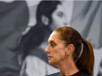 Experto exige a Presidencia respetar el derecho de réplica: 'El Estado no puede exigir la responsabilidad que niega asumir'
