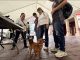 Invita Municipio a participar en la Feria de Adopción de mascotas en el Quincenario de la Asunción 2026