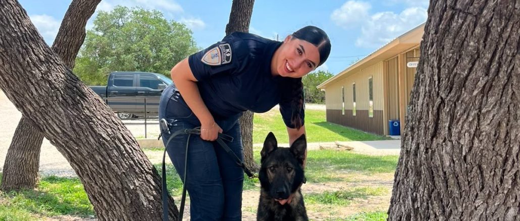 Policías del Grupo K9 se capacitan en Texas; fortalecerán la Seguridad con nuevos Binomios especializados