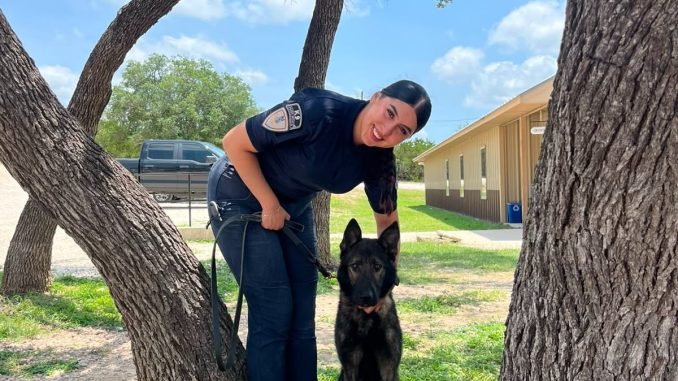 Policías del Grupo K9 se capacitan en Texas; fortalecerán la Seguridad con nuevos Binomios especializados