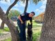 Policías del Grupo K9 se capacitan en Texas; fortalecerán la Seguridad con nuevos Binomios especializados